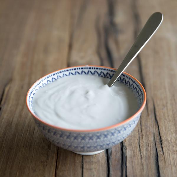 Yoghurt Culture Starter Kultured Wellness New Zealand